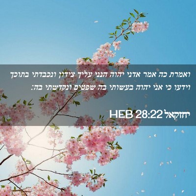 Picture 02 - יחזקאל 28:22 HEB - ואמרת כה אמר אדני יהוה הנני - Bible Verse Picture