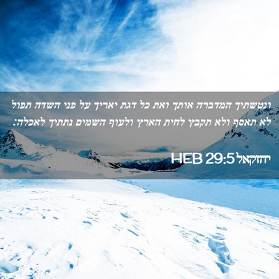 Picture 02 - יחזקאל 29:5 HEB - ונטשתיך המדברה אותך ואת כל - Bible Verse Picture