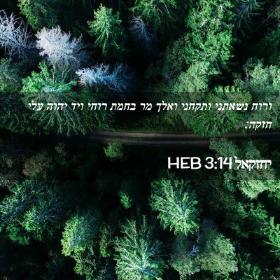 Picture 02 - יחזקאל 3:14 HEB - ורוח נשאתני ותקחני ואלך מר - Bible Verse Picture
