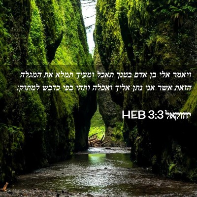 Picture 02 - יחזקאל 3:3 HEB - ויאמר אלי בן אדם בטנך תאכל - Bible Verse Picture