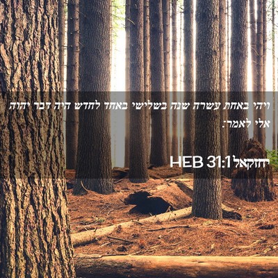 Picture 02 - יחזקאל 31:1 HEB - ויהי באחת עשרה שנה בשלישי - Bible Verse Picture