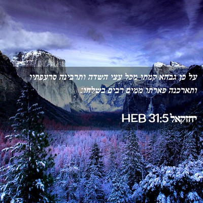 Picture 02 - יחזקאל 31:5 HEB - על כן גבהא קמתו מכל עצי - Bible Verse Picture