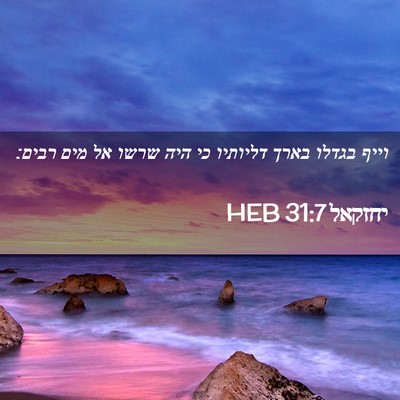 Picture 02 - יחזקאל 31:7 HEB - וייף בגדלו בארך דליותיו כי - Bible Verse Picture