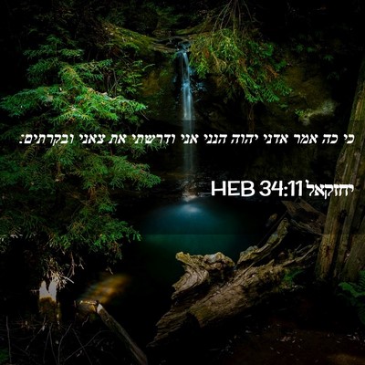 Picture 02 - יחזקאל 34:11 HEB - כי כה אמר אדני יהוה הנני - Bible Verse Picture
