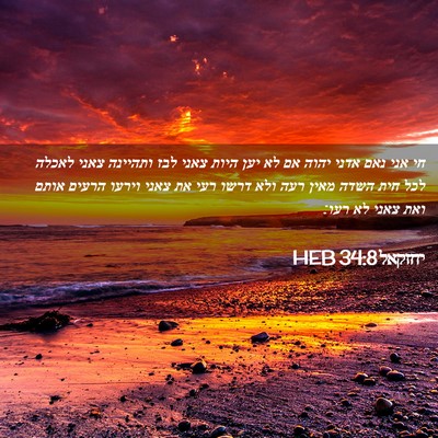 Picture 02 - יחזקאל 34:8 HEB - חי אני נאם אדני יהוה אם לא - Bible Verse Picture