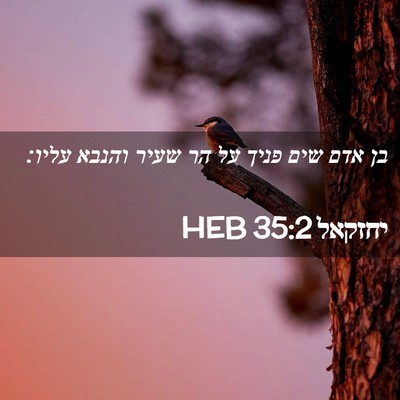 Picture 02 - יחזקאל 35:2 HEB - בן אדם שים פניך על הר שעיר - Bible Verse Picture