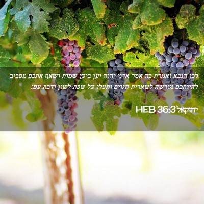 Picture 02 - יחזקאל 36:3 HEB - לכן הנבא ואמרת כה אמר אדני - Bible Verse Picture