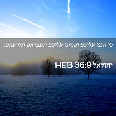 Picture 02 - יחזקאל 36:9 HEB - כי הנני אליכם ופניתי אליכם - Bible Verse Picture