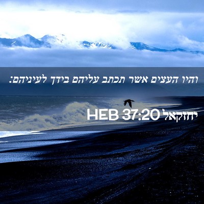 Picture 02 - יחזקאל 37:20 HEB - והיו העצים אשר תכתב עליהם - Bible Verse Picture