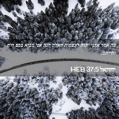 Picture 02 - יחזקאל 37:5 HEB - כה אמר אדני יהוה לעצמות - Bible Verse Picture