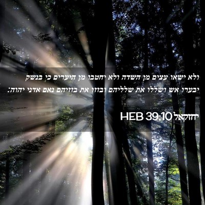 Picture 02 - יחזקאל 39:10 HEB - ולא ישאו עצים מן השדה ולא - Bible Verse Picture