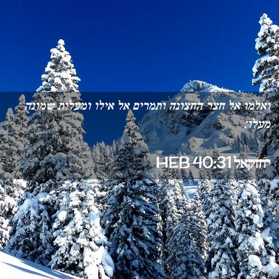 Picture 02 - יחזקאל 40:31 HEB - ואלמו אל חצר החצונה ותמרים - Bible Verse Picture