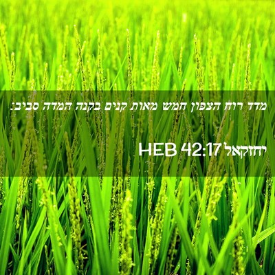 Picture 02 - יחזקאל 42:17 HEB - מדד רוח הצפון חמש מאות קנים - Bible Verse Picture