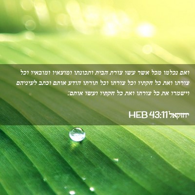 Picture 02 - יחזקאל 43:11 HEB - ואם נכלמו מכל אשר עשו צורת - Bible Verse Picture