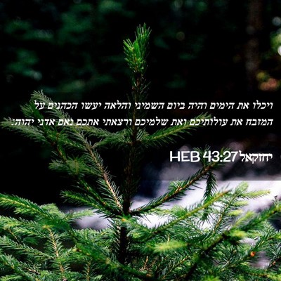 Picture 02 - יחזקאל 43:27 HEB - ויכלו את הימים והיה ביום - Bible Verse Picture