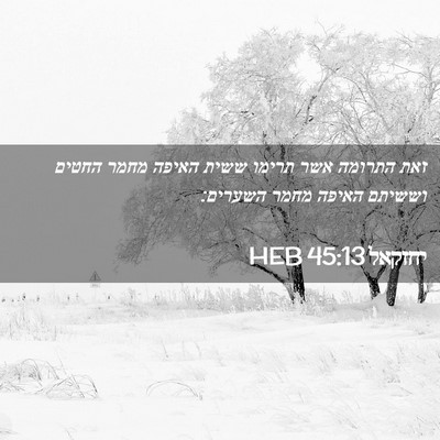 Picture 02 - יחזקאל 45:13 HEB - זאת התרומה אשר תרימו ששית - Bible Verse Picture
