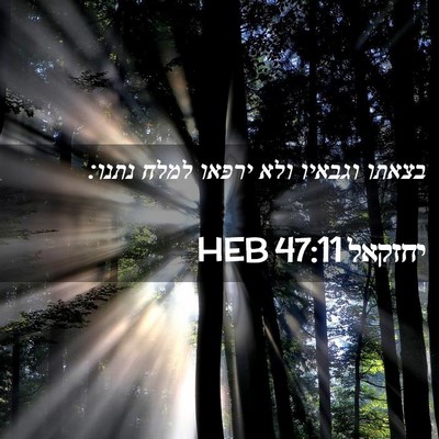 Picture 02 - יחזקאל 47:11 HEB - בצאתו וגבאיו ולא ירפאו - Bible Verse Picture