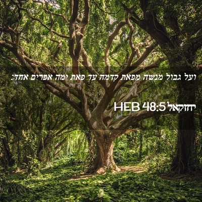 Picture 02 - יחזקאל 48:5 HEB - ועל גבול מנשה מפאת קדמה עד - Bible Verse Picture