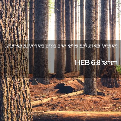 Picture 02 - יחזקאל 6:8 HEB - והותרתי בהיות לכם פליטי - Bible Verse Picture