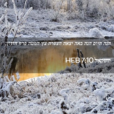 Picture 02 - יחזקאל 7:10 HEB - הנה היום הנה באה יצאה הצפרה - Bible Verse Picture