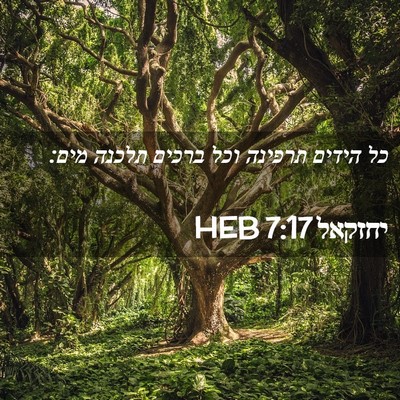 Picture 02 - יחזקאל 7:17 HEB - כל הידים תרפינה וכל ברכים - Bible Verse Picture
