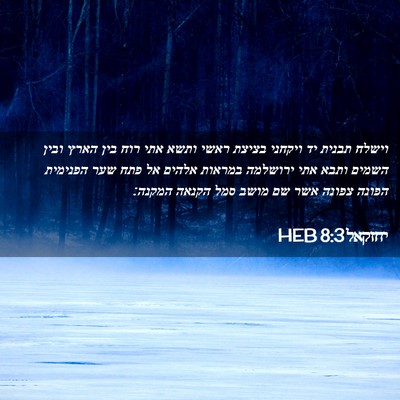 Picture 02 - יחזקאל 8:3 HEB - וישלח תבנית יד ויקחני - Bible Verse Picture