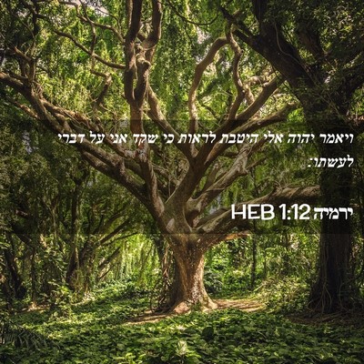 Picture 02 - ירמיה 1:12 HEB - ויאמר יהוה אלי היטבת לראות - Bible Verse Picture