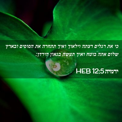 Picture 02 - ירמיה 12:5 HEB - כי את רגלים רצתה וילאוך - Bible Verse Picture