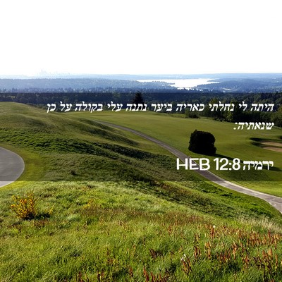 Picture 02 - ירמיה 12:8 HEB - היתה לי נחלתי כאריה ביער - Bible Verse Picture