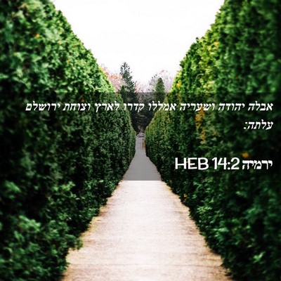 Picture 02 - ירמיה 14:2 HEB - אבלה יהודה ושעריה אמללו - Bible Verse Picture