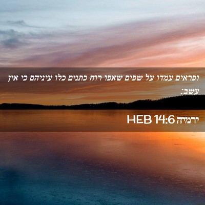 Picture 02 - ירמיה 14:6 HEB - ופראים עמדו על שפים שאפו - Bible Verse Picture