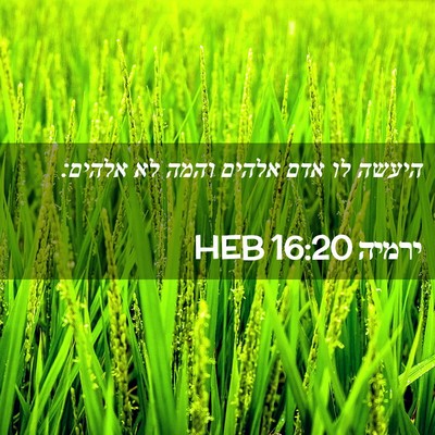 Picture 02 - ירמיה 16:20 HEB - היעשה לו אדם אלהים והמה לא - Bible Verse Picture