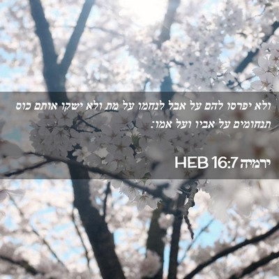 Picture 02 - ירמיה 16:7 HEB - ולא יפרסו להם על אבל לנחמו - Bible Verse Picture