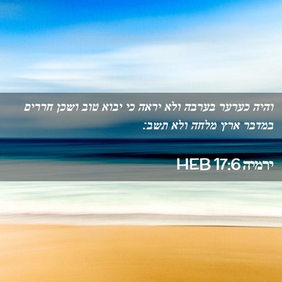 Picture 02 - ירמיה 17:6 HEB - והיה כערער בערבה ולא יראה - Bible Verse Picture