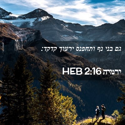 Picture 02 - ירמיה 2:16 HEB - גם בני נף ותחפנס ירעוך - Bible Verse Picture