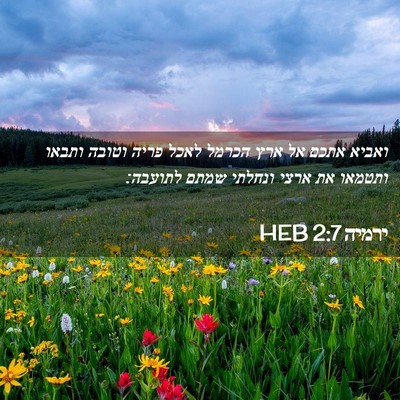 Picture 02 - ירמיה 2:7 HEB - ואביא אתכם אל ארץ הכרמל - Bible Verse Picture