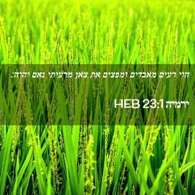 Picture 02 - ירמיה 23:1 HEB - הוי רעים מאבדים ומפצים את - Bible Verse Picture