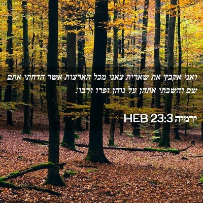 Picture 02 - ירמיה 23:3 HEB - ואני אקבץ את שארית צאני מכל - Bible Verse Picture