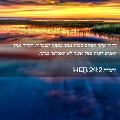 Picture 02 - ירמיה 24:2 HEB - הדוד אחד תאנים טבות מאד - Bible Verse Picture
