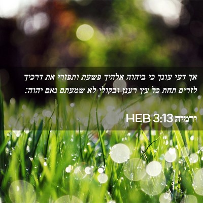 Picture 02 - ירמיה 3:13 HEB - אך דעי עונך כי ביהוה אלהיך - Bible Verse Picture