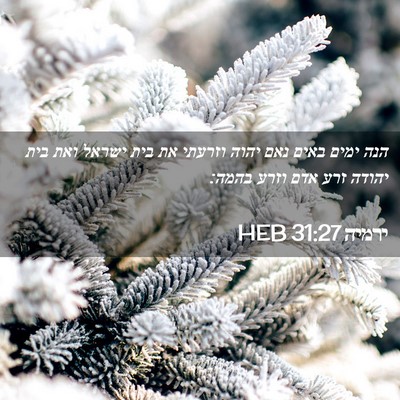 Picture 02 - ירמיה 31:27 HEB - הנה ימים באים נאם יהוה - Bible Verse Picture