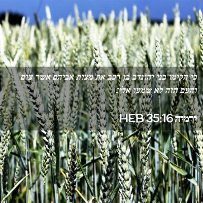 Picture 02 - ירמיה 35:16 HEB - כי הקימו בני יהונדב בן רכב - Bible Verse Picture