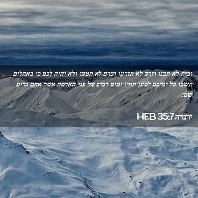 Picture 02 - ירמיה 35:7 HEB - ובית לא תבנו וזרע לא תזרעו - Bible Verse Picture