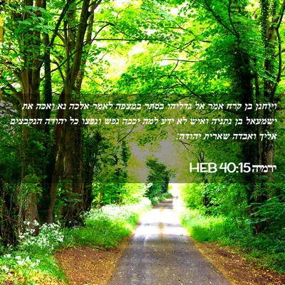 Picture 02 - ירמיה 40:15 HEB - ויוחנן בן קרח אמר אל גדליהו - Bible Verse Picture