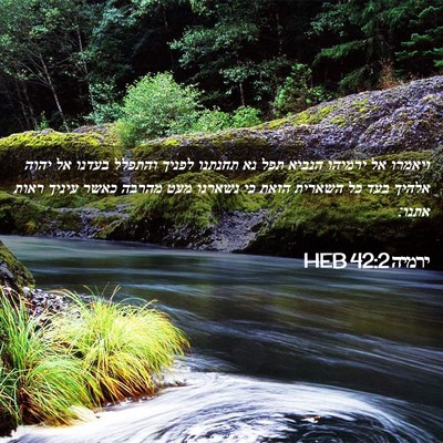 Picture 02 - ירמיה 42:2 HEB - ויאמרו אל ירמיהו הנביא תפל - Bible Verse Picture