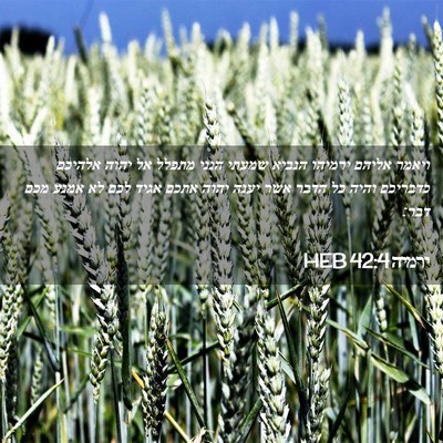 Picture 02 - ירמיה 42:4 HEB - ויאמר אליהם ירמיהו הנביא - Bible Verse Picture