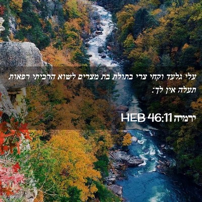 Picture 02 - ירמיה 46:11 HEB - עלי גלעד וקחי צרי בתולת בת - Bible Verse Picture