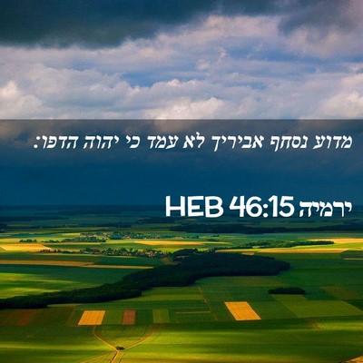 Picture 02 - ירמיה 46:15 HEB - מדוע נסחף אביריך לא עמד כי - Bible Verse Picture