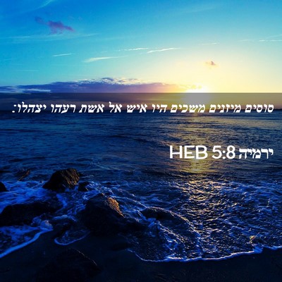 Picture 02 - ירמיה 5:8 HEB - סוסים מיזנים משכים היו איש - Bible Verse Picture