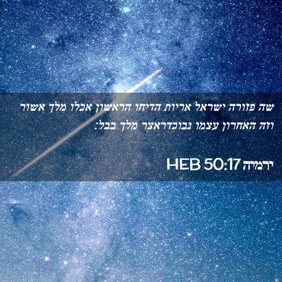 Picture 02 - ירמיה 50:17 HEB - שה פזורה ישראל אריות הדיחו - Bible Verse Picture